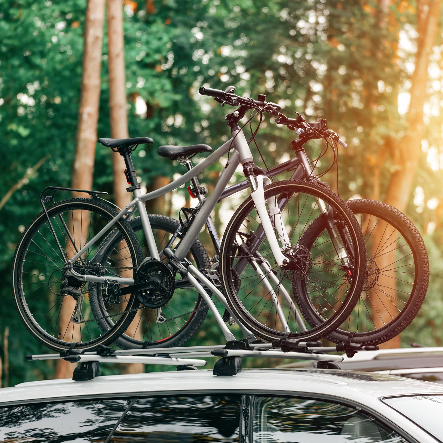 Fahrradträger fürs Auto