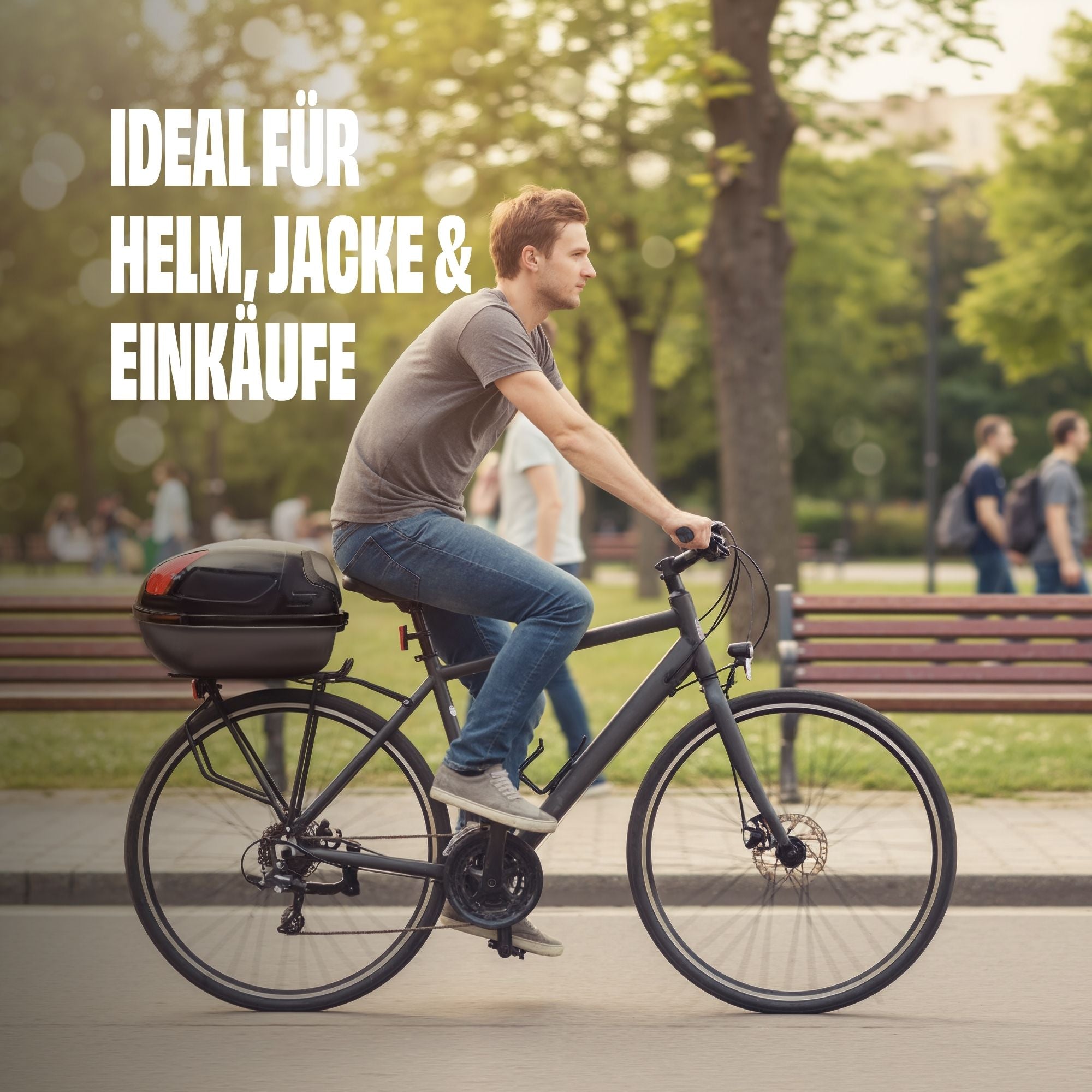 Fahrrad Fahrradbox Topcase Fahrradkoffer abschließbar Helmkoffer 17 Ltr Helmbox