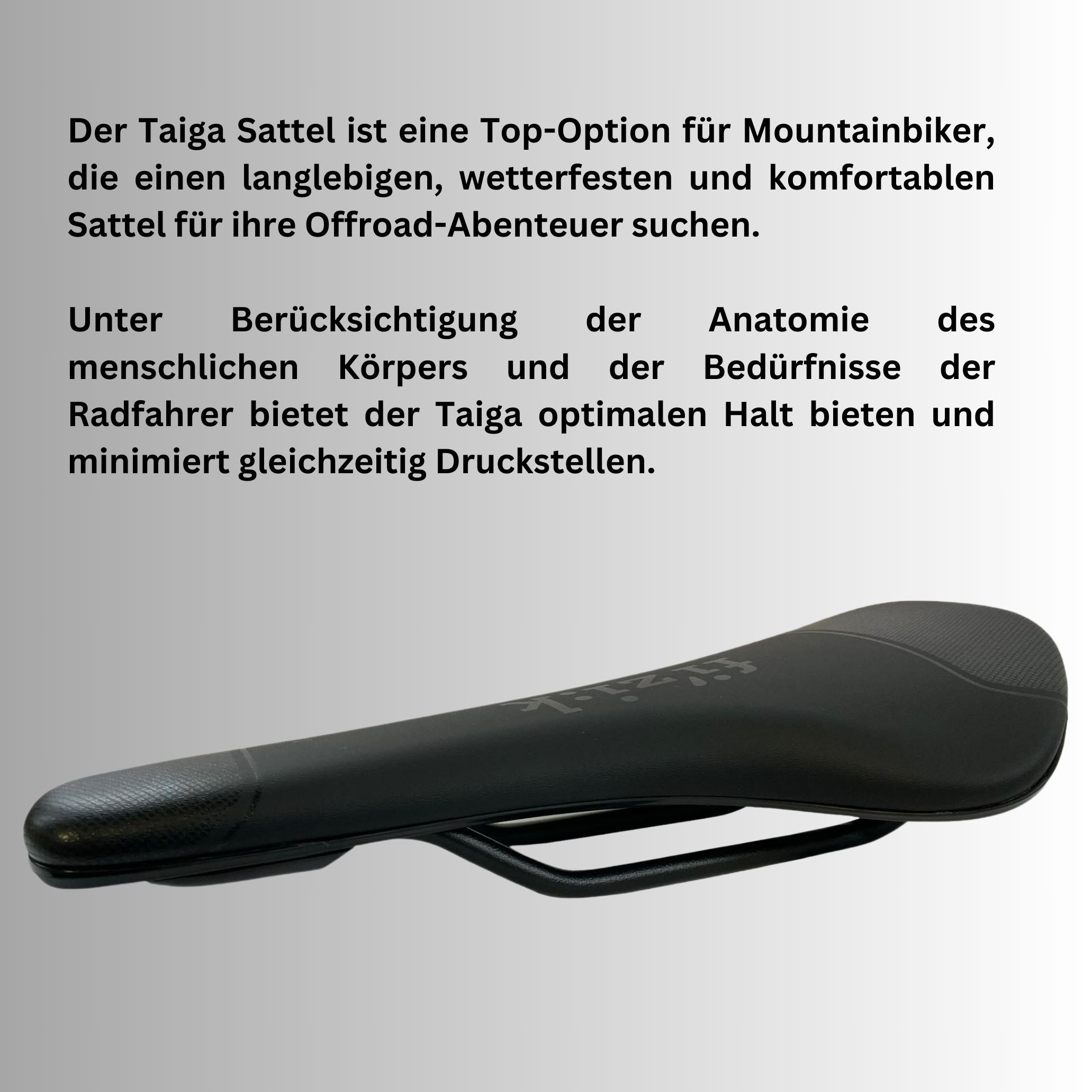 Fahrradsattel MTB Sattel Radsattel - Fizik Taiga - für Rennrad BMX Fixie Singlespeed MTB - Klassischer Fahrradsitz mit ICS-System - für Patentsattelstütze