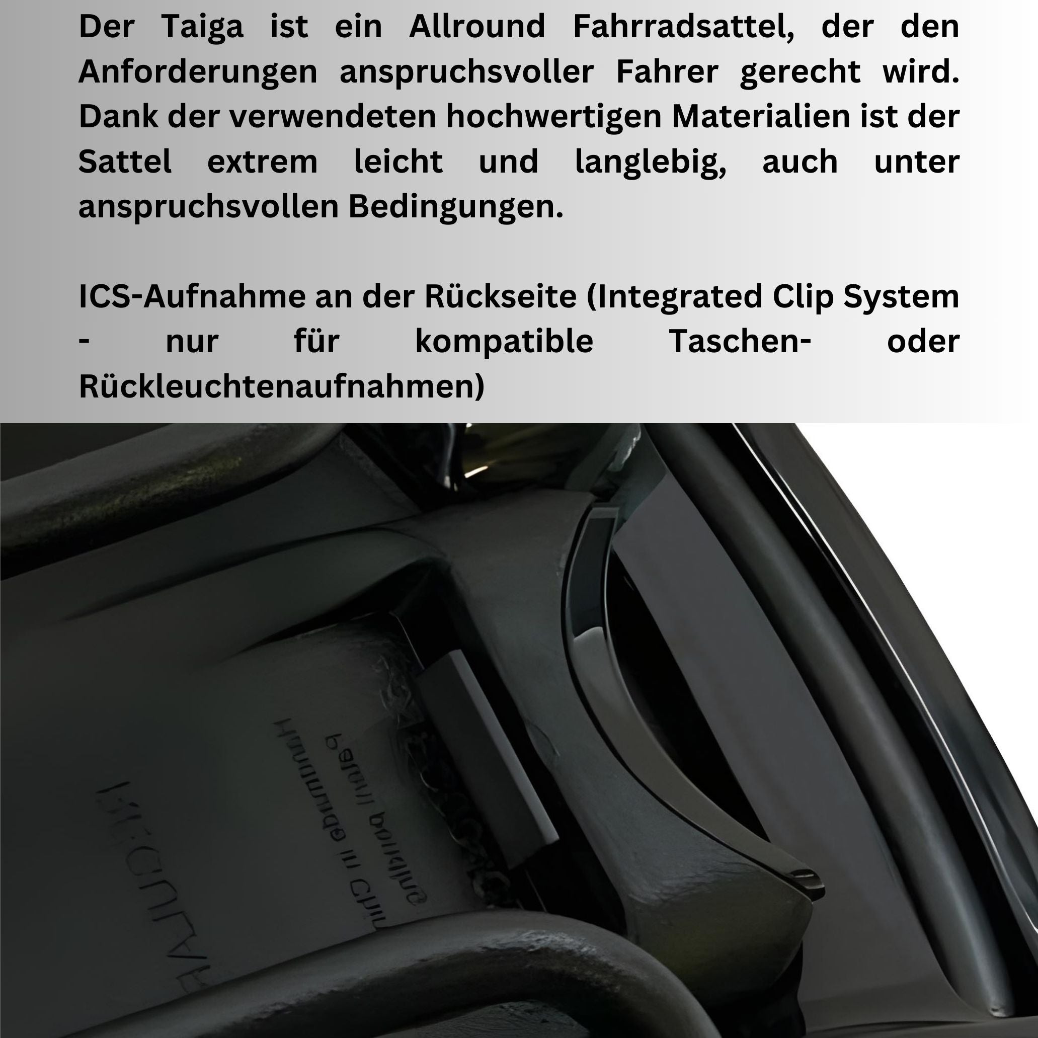 Fahrradsattel MTB Sattel Radsattel - Fizik Taiga - für Rennrad BMX Fixie Singlespeed MTB - Klassischer Fahrradsitz mit ICS-System - für Patentsattelstütze