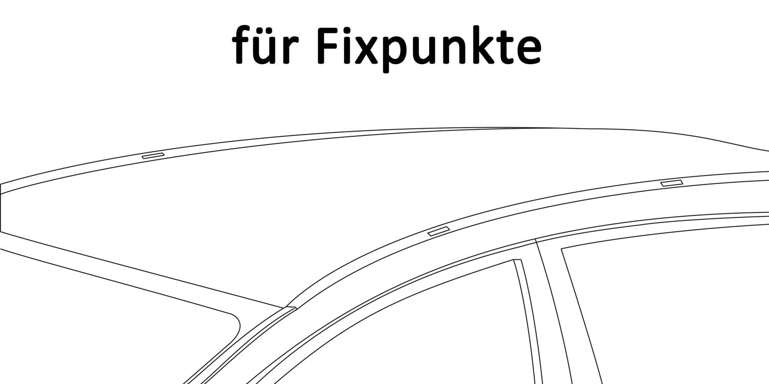 Dachbox VDPMAA580 580Ltr abschließbar schwarz + 4 Stangen Dachträger AURILIS VDP kompatibel mit für VW kompatibel mit für VW T6 ab 09 ALU